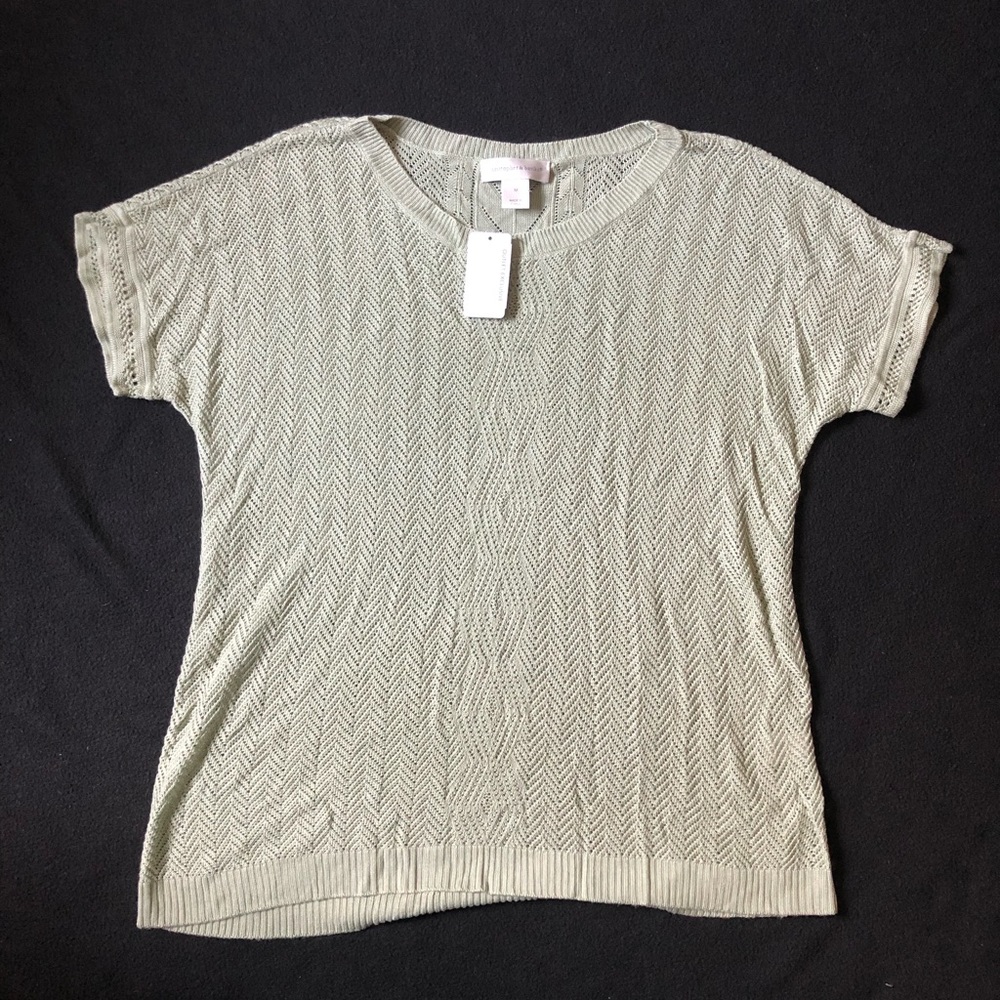 Christopher and Banks pullover Sweater
